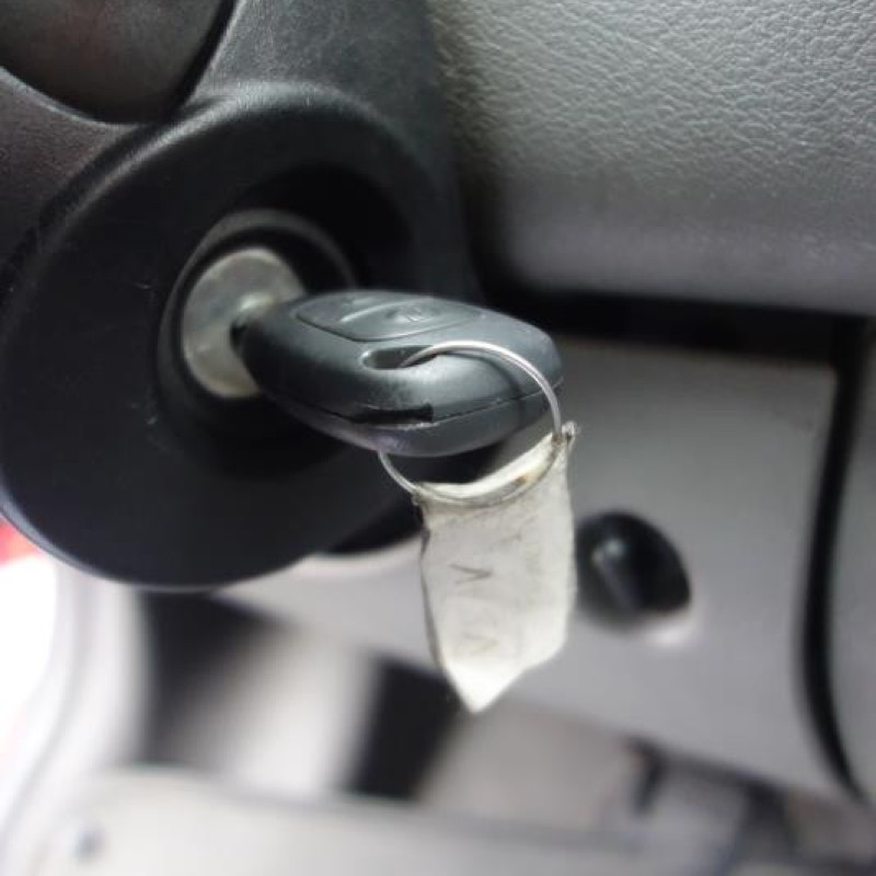 Crosse arriere droit RENAULT MASTER 2 Photo n°13