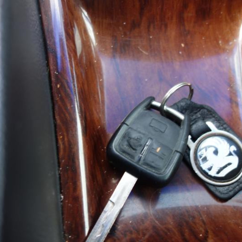 Malle/Hayon arriere OPEL OMEGA B Photo n°9