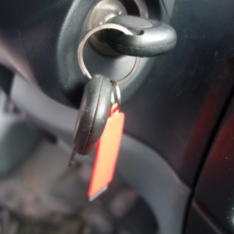 Attache ceinture arriere droit RENAULT MEGANE 1 Photo n°10