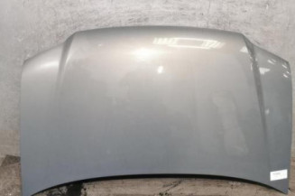 Capot VOLKSWAGEN TOURAN 1 Photo n°1