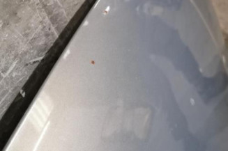 Capot VOLKSWAGEN TOURAN 1