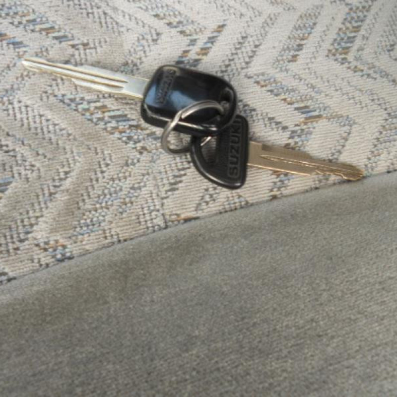 Porte arriere droit SUZUKI BALENO 1 Photo n°10