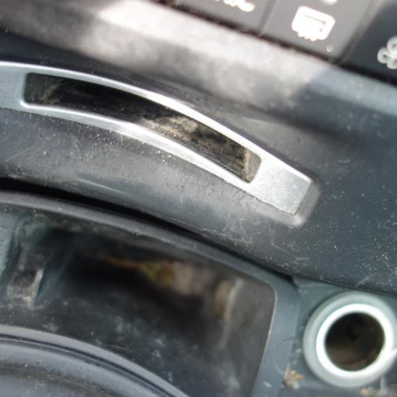 Porte arriere gauche RENAULT LAGUNA 2 Photo n°9
