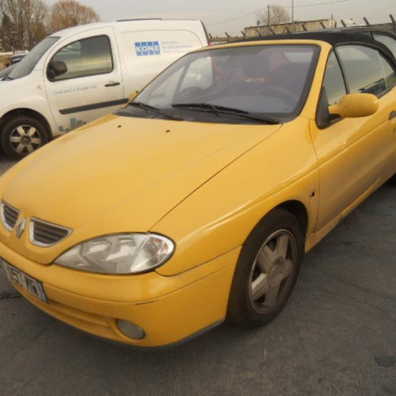 Malle/Hayon arriere RENAULT MEGANE 1 Photo n°3