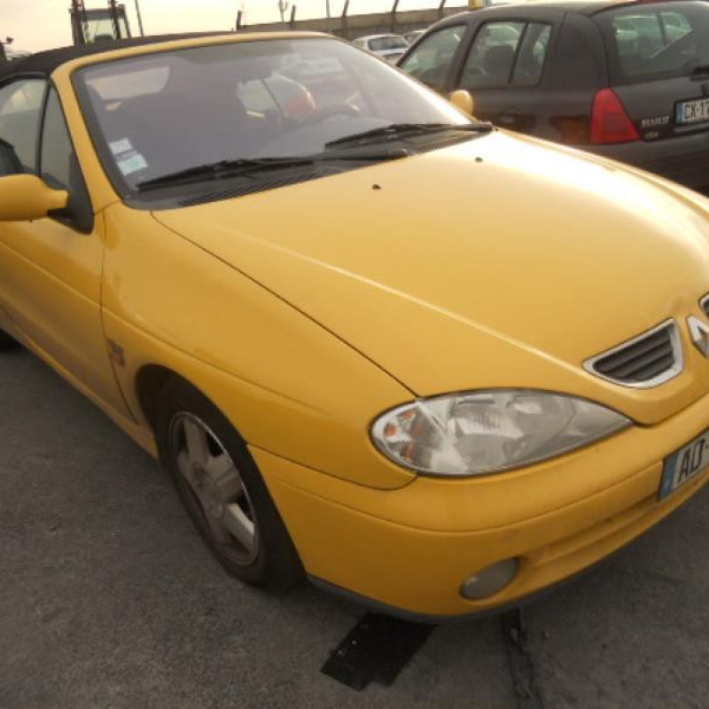 Malle/Hayon arriere RENAULT MEGANE 1 Photo n°4