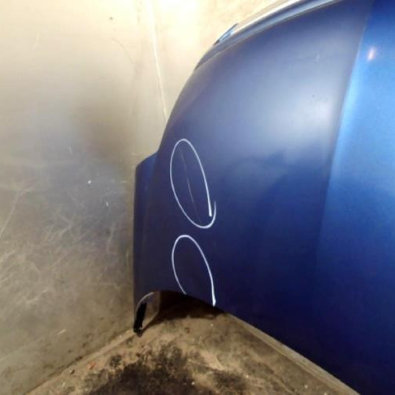 Capot CITROEN C8 Photo n°2