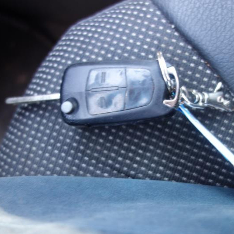 Porte arriere droit OPEL VECTRA C Photo n°10
