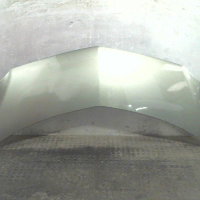 Capot RENAULT MODUS Photo n°1