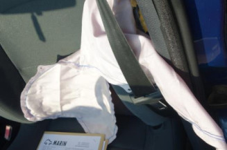 Porte arriere gauche RENAULT CLIO 2