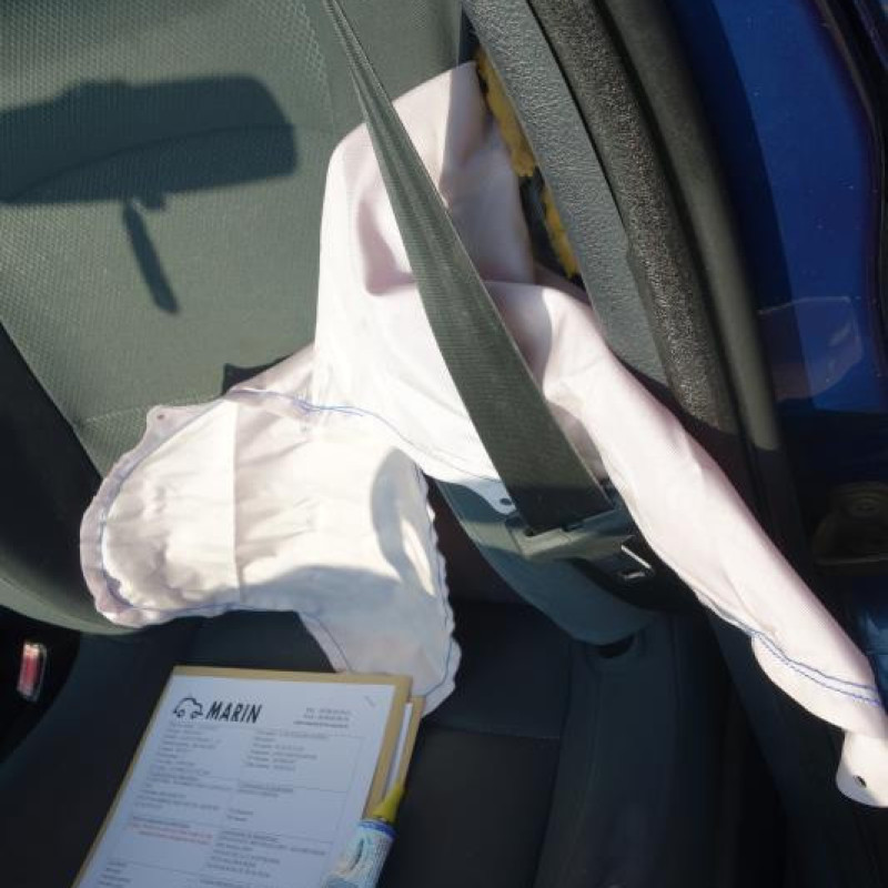 Porte arriere gauche RENAULT CLIO 2 Photo n°8