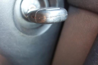 Porte arriere gauche RENAULT CLIO 2