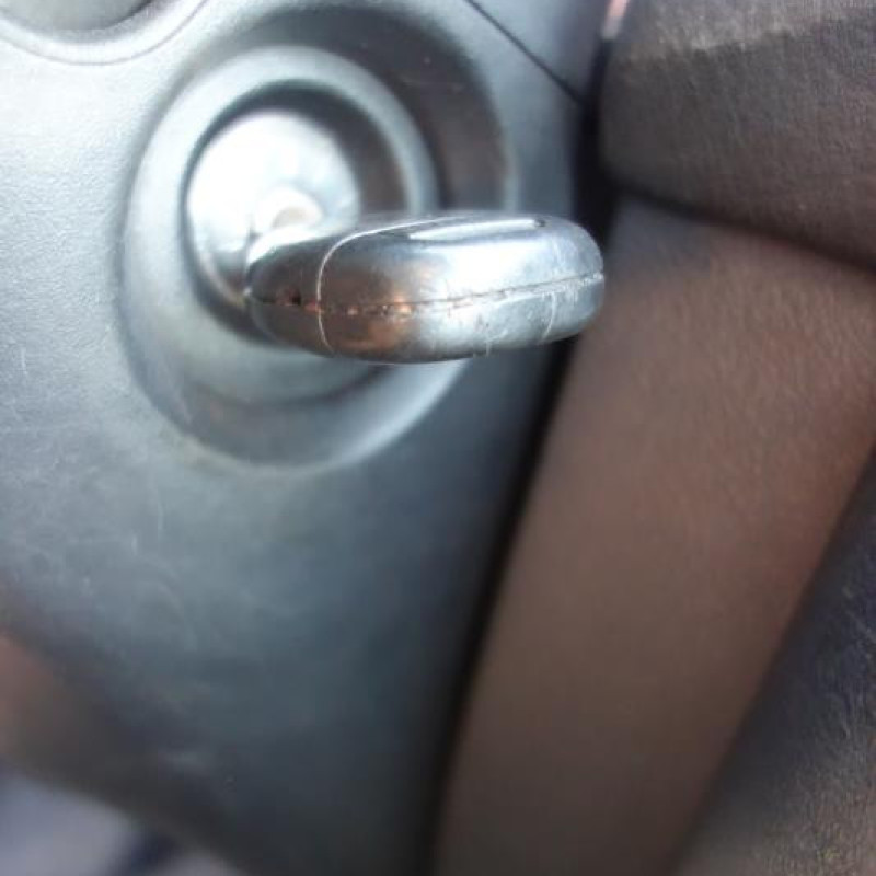 Porte arriere gauche RENAULT CLIO 2 Photo n°10