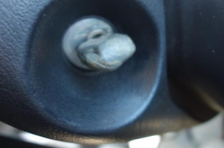 Trappe d'essence CITROEN XANTIA