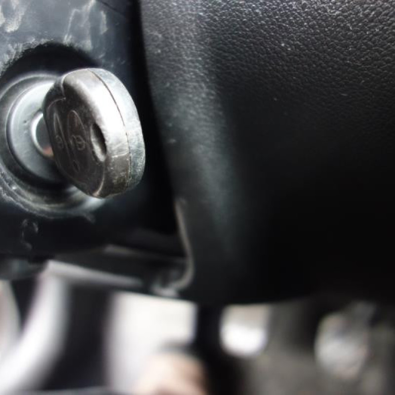 Porte arriere gauche SEAT LEON 1 Photo n°13