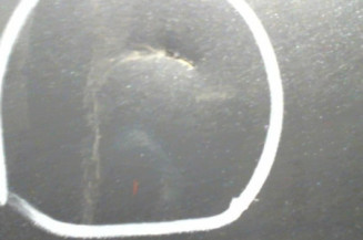 Porte arriere gauche AUDI A4 2