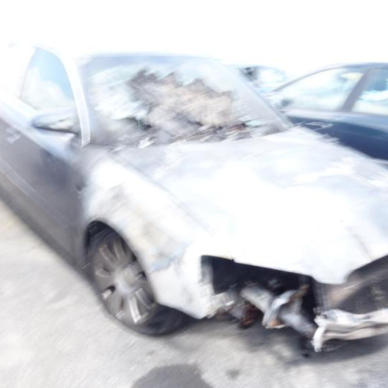 Porte arriere gauche AUDI A4 2 Photo n°6