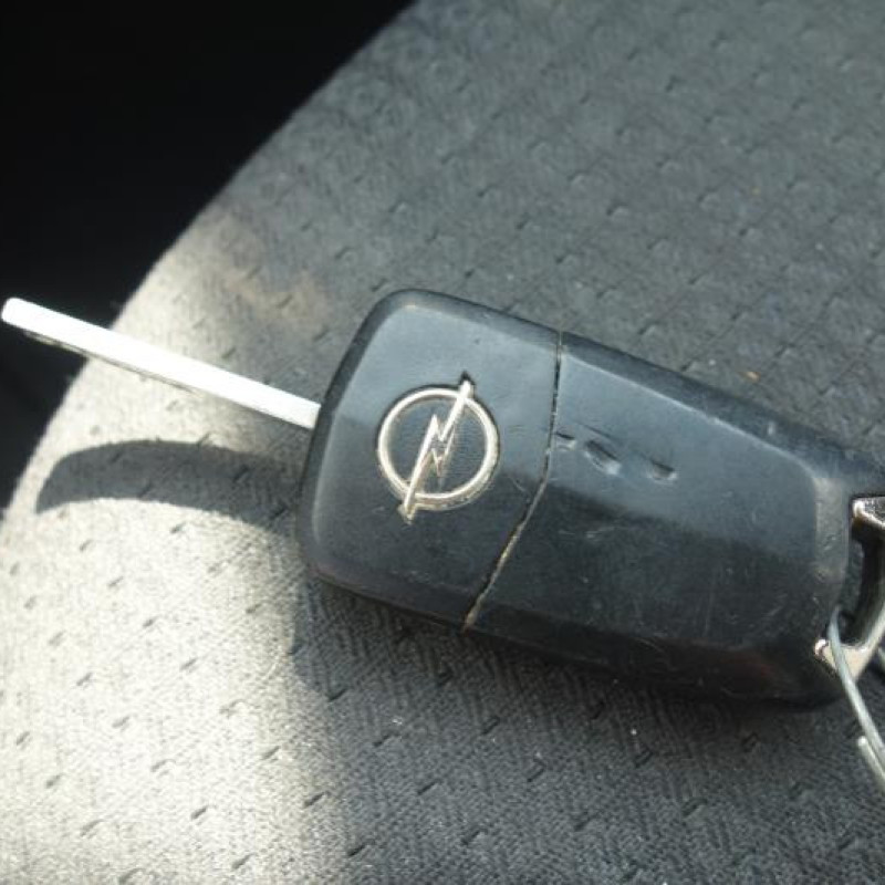 Porte avant droit OPEL VECTRA C Photo n°11