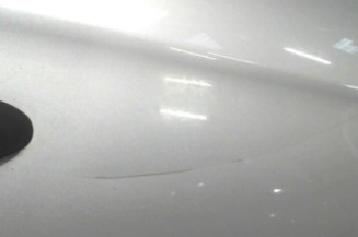 Porte avant droit FIAT BRAVO 2