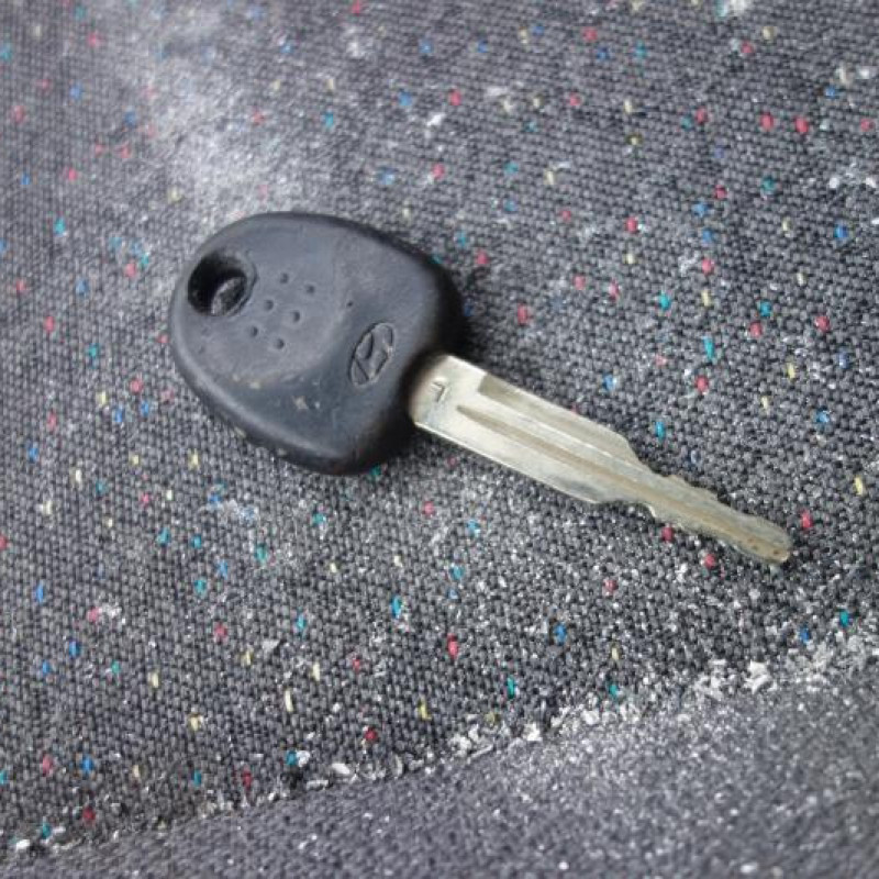 Porte arriere gauche HYUNDAI ACCENT 2 Photo n°10