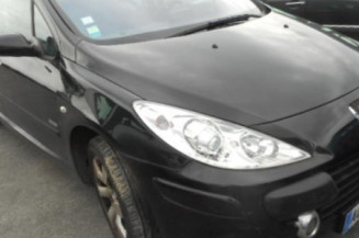 Porte arriere gauche PEUGEOT 307