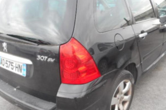Porte arriere gauche PEUGEOT 307