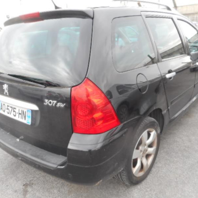 Porte arriere gauche PEUGEOT 307 Photo n°5