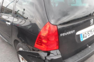 Porte arriere gauche PEUGEOT 307
