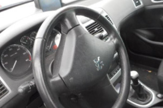 Porte arriere gauche PEUGEOT 307