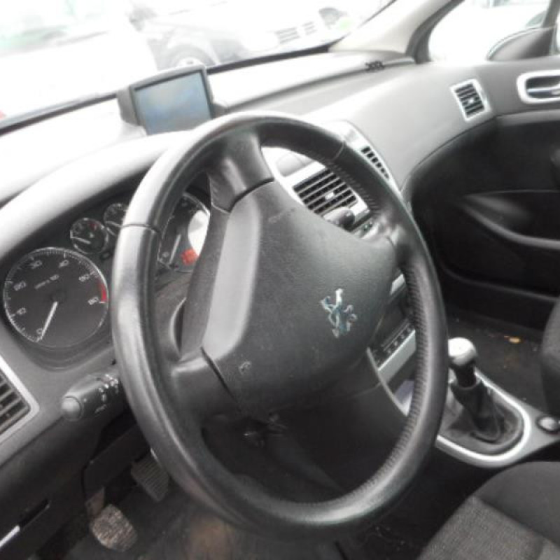 Porte arriere gauche PEUGEOT 307 Photo n°7