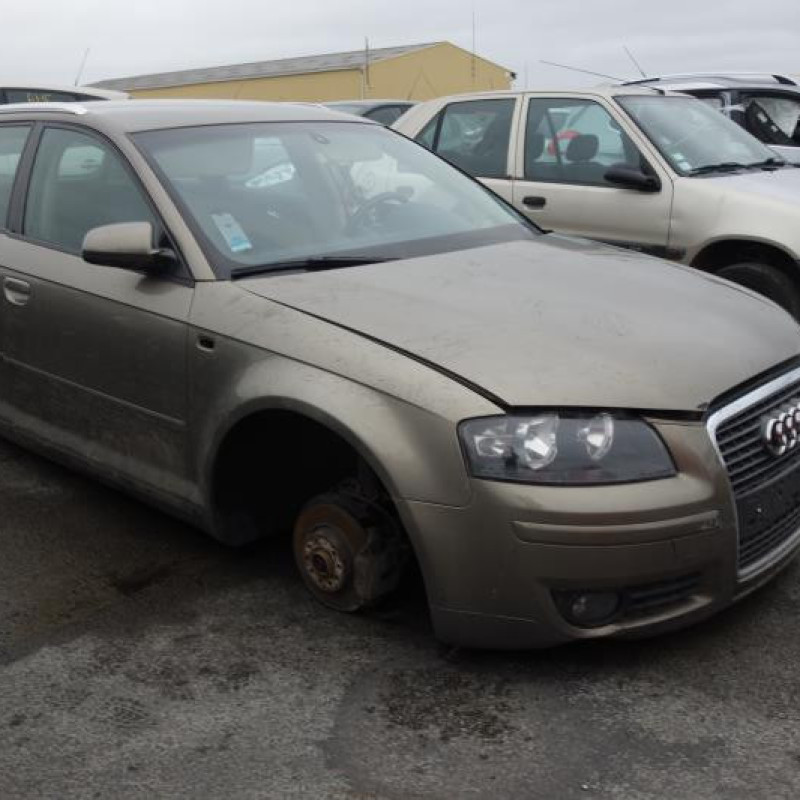 Porte avant droit AUDI A3 2 Photo n°6