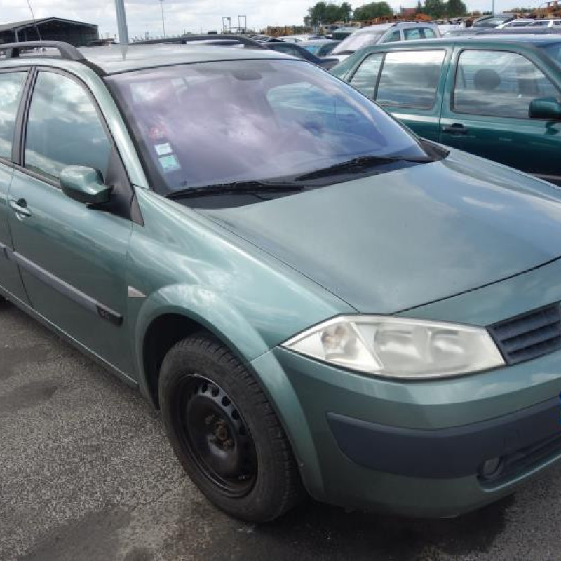 Porte arriere droit RENAULT MEGANE 2 Photo n°5