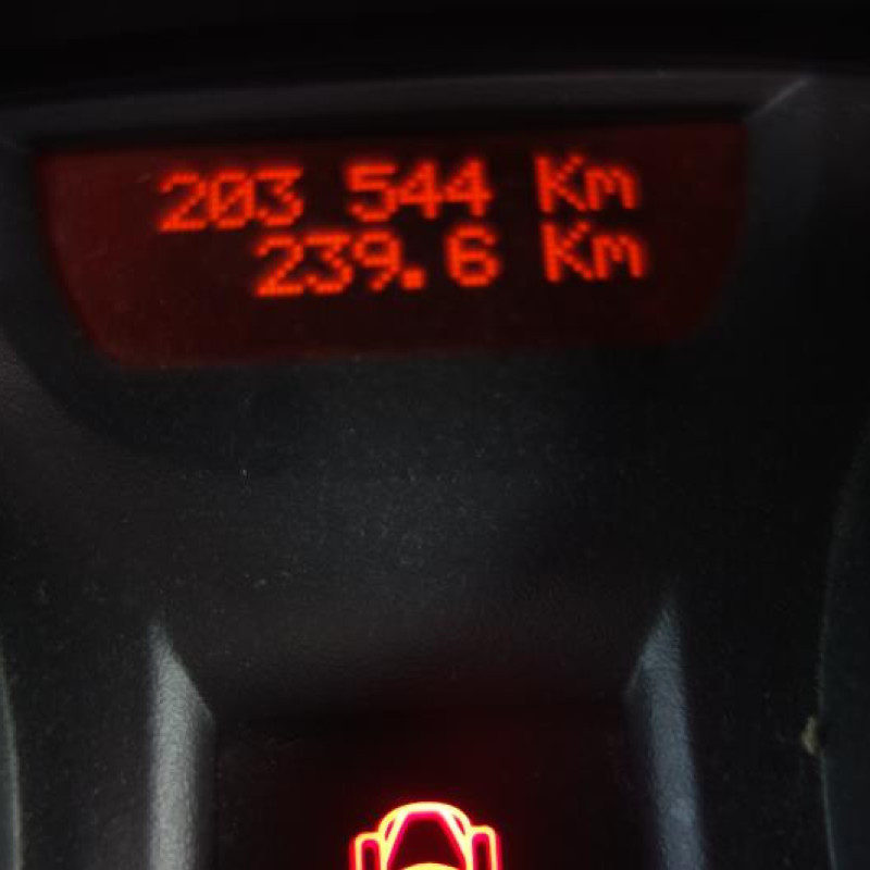Porte arriere droit RENAULT MEGANE 2 Photo n°10