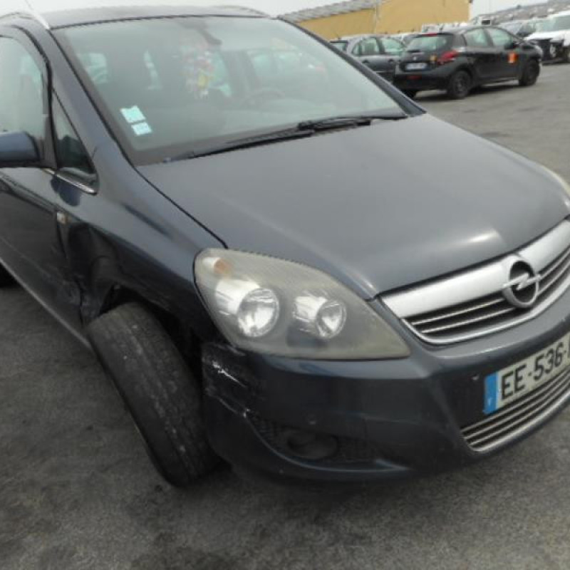 Porte avant gauche OPEL ZAFIRA B Photo n°5