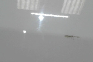Porte avant droit FORD FIESTA 5