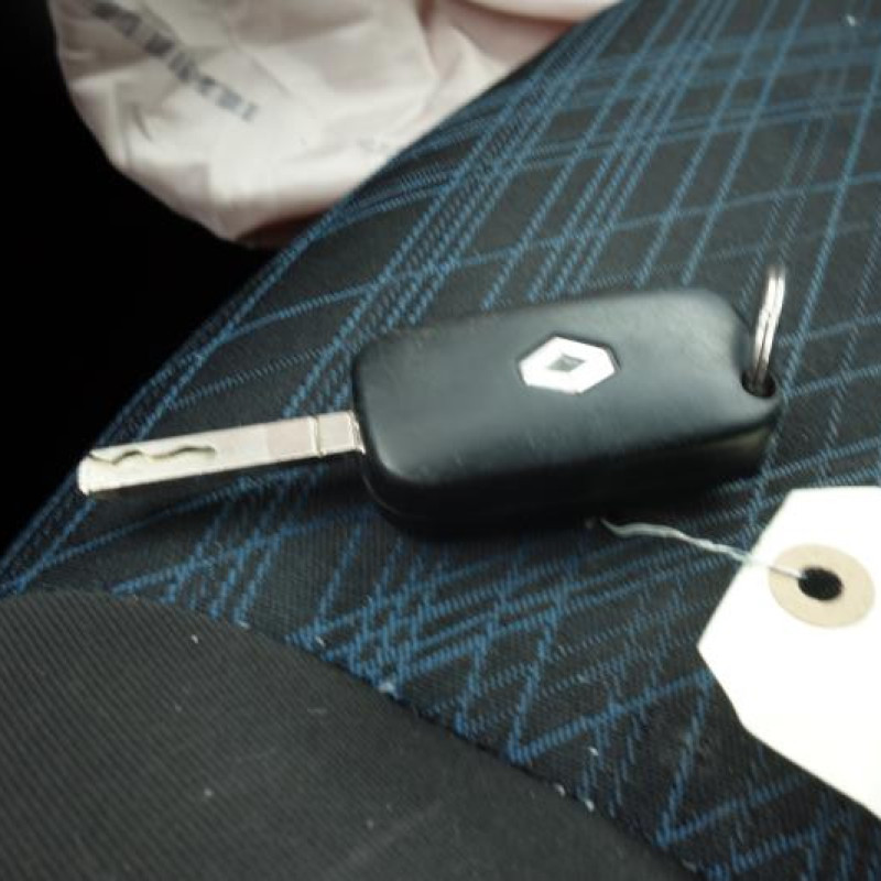 Serrure arriere droit RENAULT CLIO 3 Photo n°12