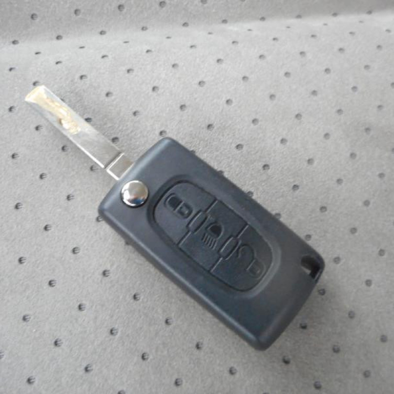Porte arriere gauche CITROEN C4 1 Photo n°12