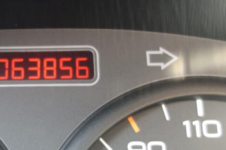 Cremaillere assistee PEUGEOT 206