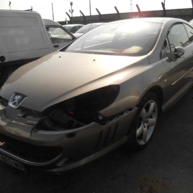 Porte avant gauche PEUGEOT 407 Photo n°3
