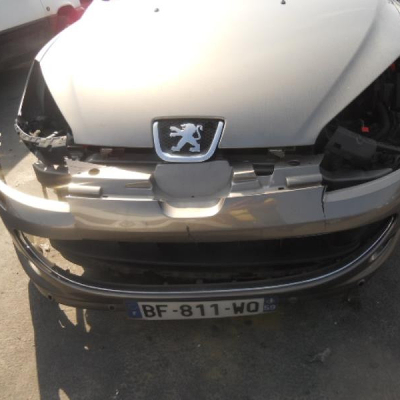 Porte avant gauche PEUGEOT 407 Photo n°4
