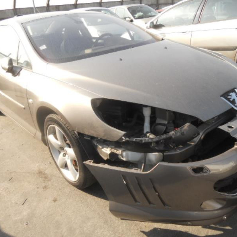 Porte avant gauche PEUGEOT 407 Photo n°5