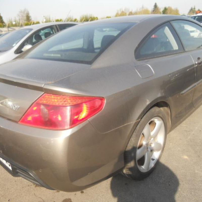 Porte avant gauche PEUGEOT 407 Photo n°6