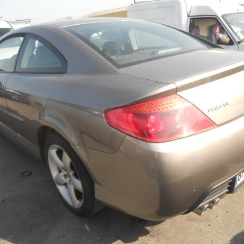 Porte avant gauche PEUGEOT 407 Photo n°7