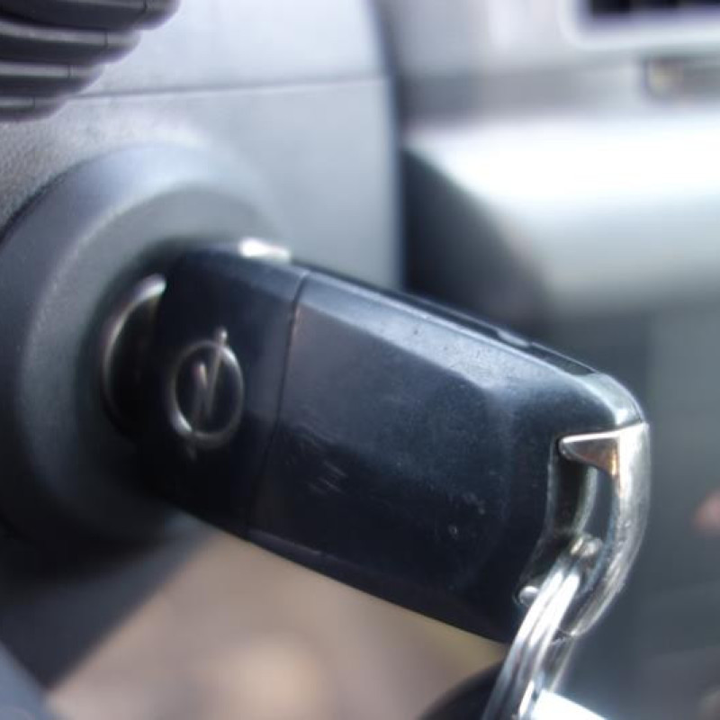 Porte arriere droit OPEL VECTRA C Photo n°10