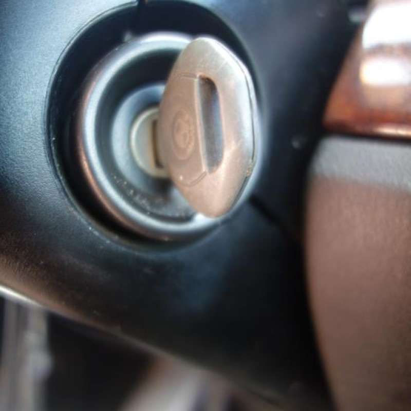 Porte arriere gauche BMW SERIE 5 E39 Photo n°9