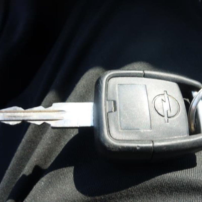Porte avant droit OPEL ASTRA G Photo n°11
