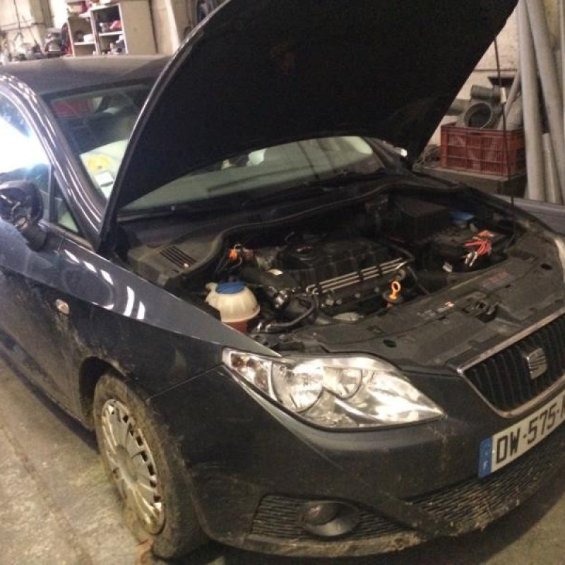 Malle/Hayon arriere SEAT IBIZA 4 Photo n°3