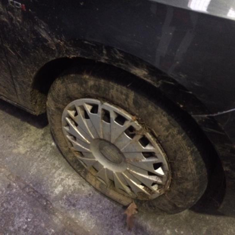 Malle/Hayon arriere SEAT IBIZA 4 Photo n°4