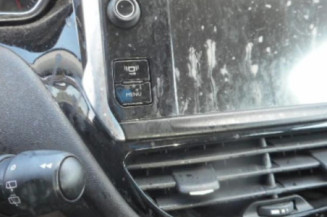 Mastervac PEUGEOT 208 1