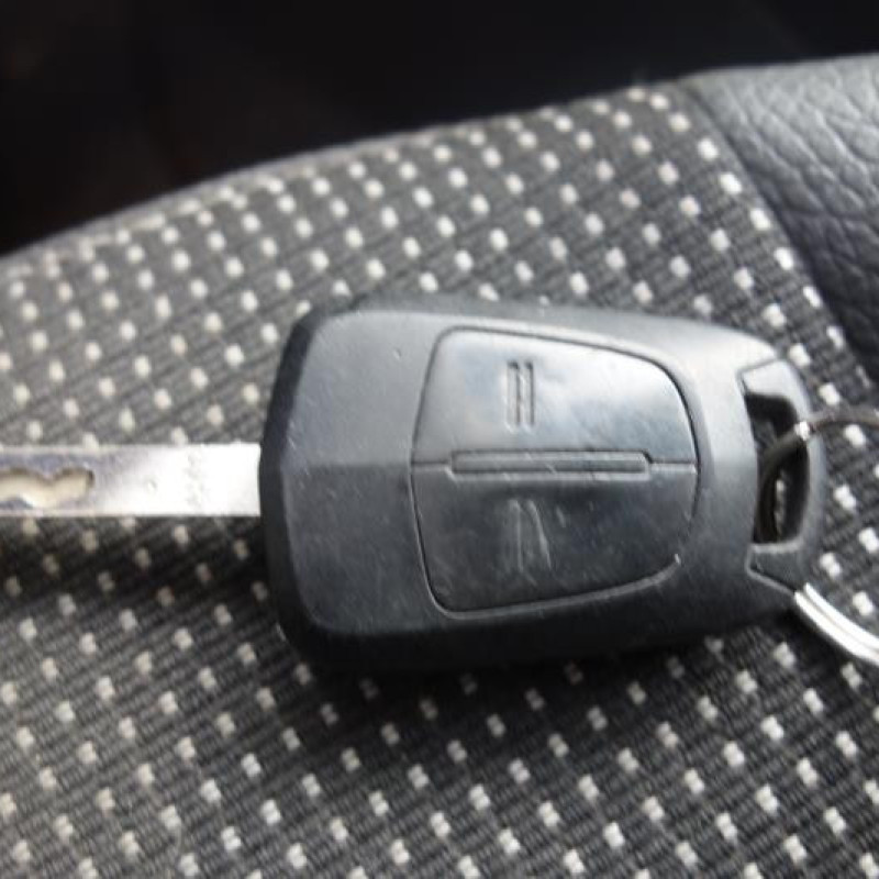 Porte avant gauche OPEL ASTRA H Photo n°15