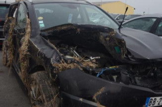 Avertisseur/Klaxon NISSAN QASHQAI 1